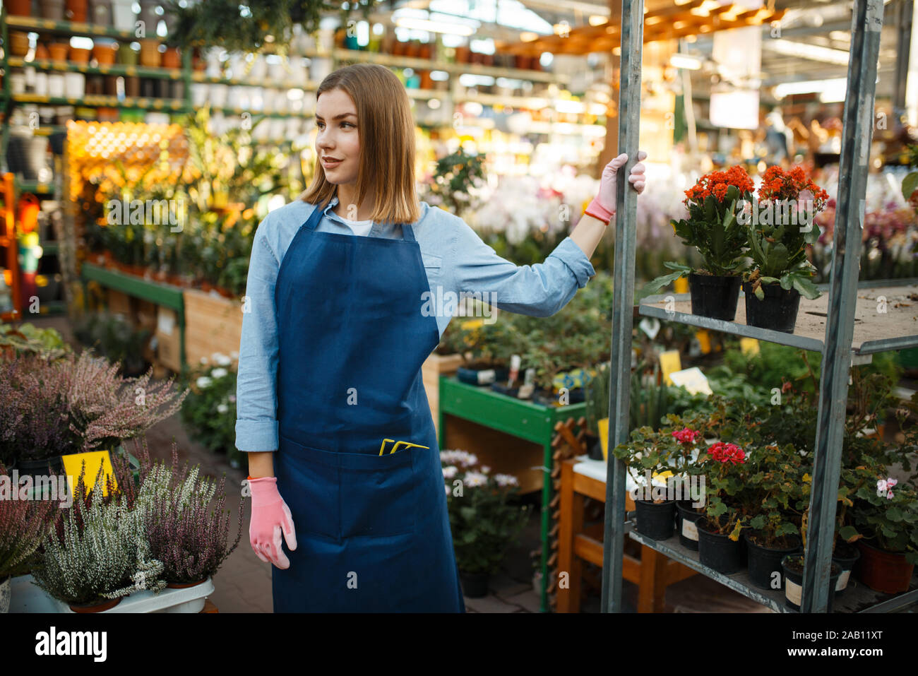 Giardiniere femmina, home Vendita fiori, giardinaggio Foto Stock