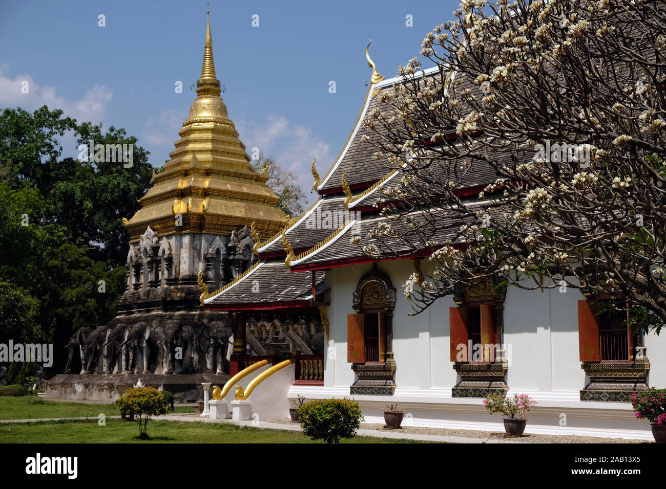 Luoghi religiosi - Il buddismo Thailandia Chiang Mai Wat Chiang Man Foto Stock