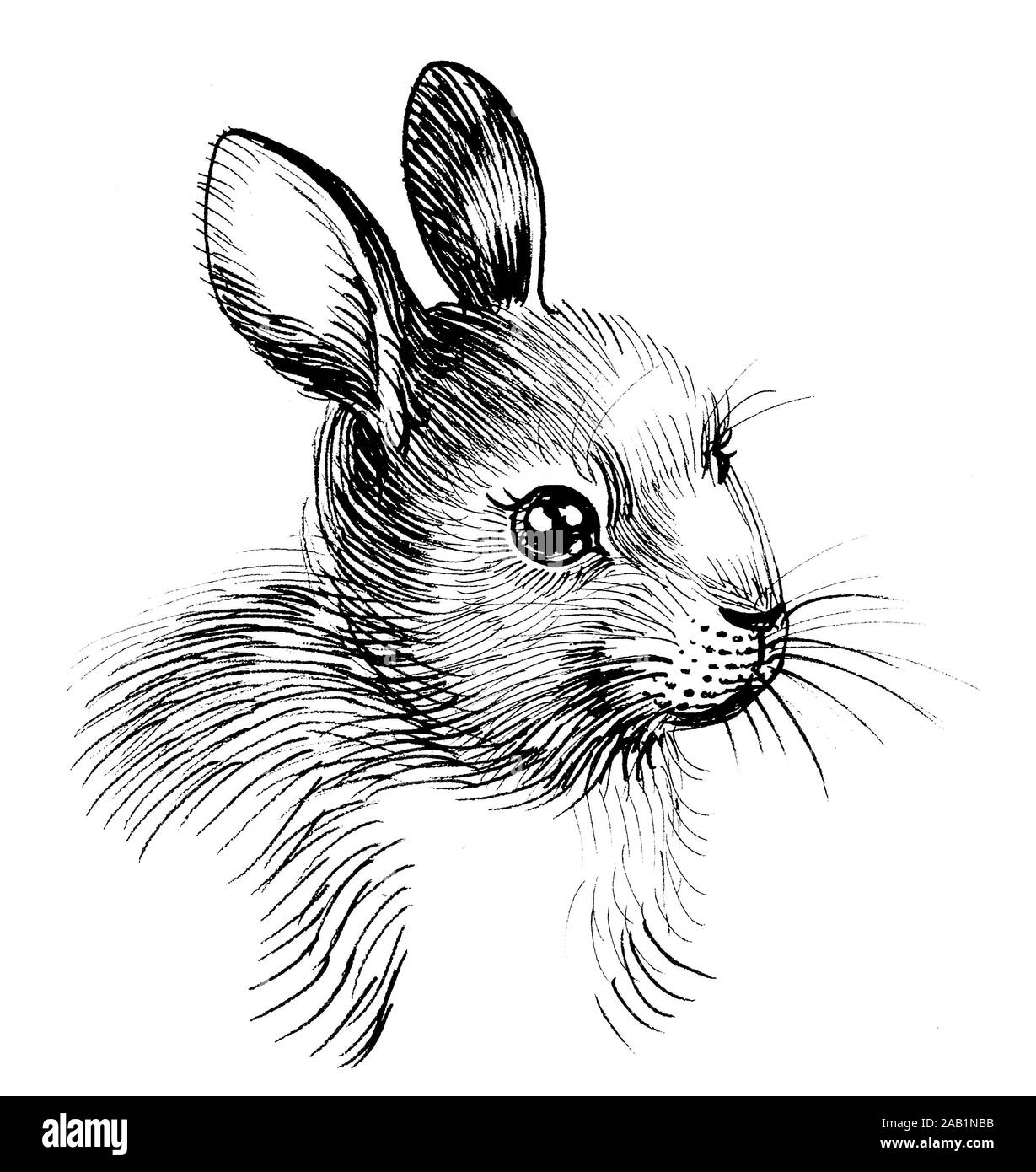 Carino baby coniglio. L'inchiostro bianco e nero disegno Foto Stock