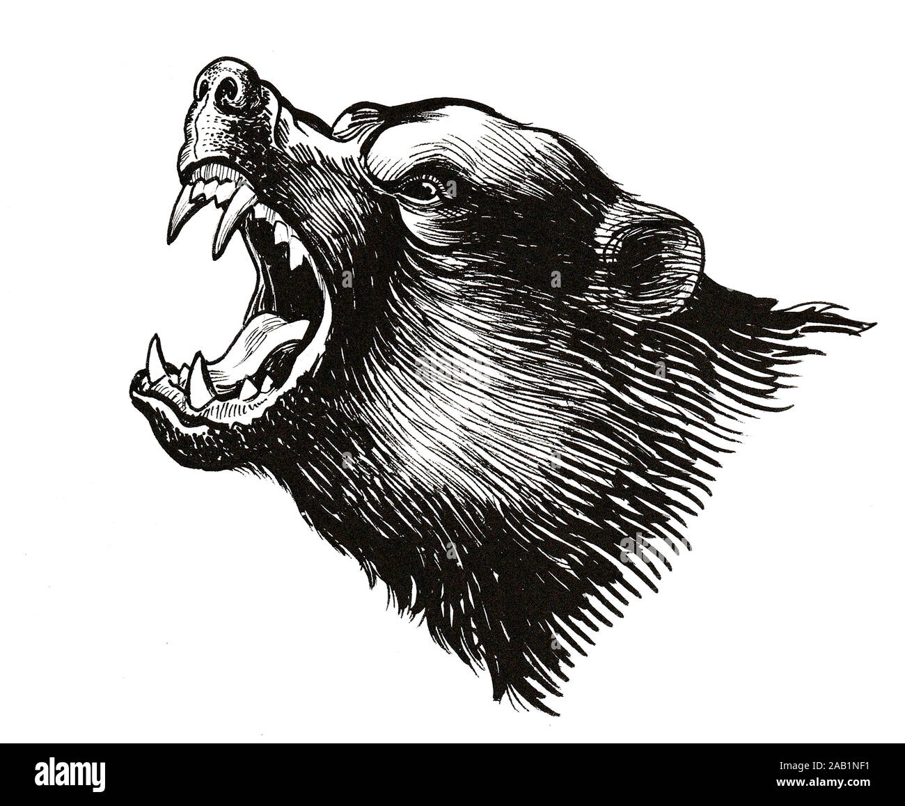 Ruggito orso grizzly. L'inchiostro bianco e nero illustrazione Foto Stock