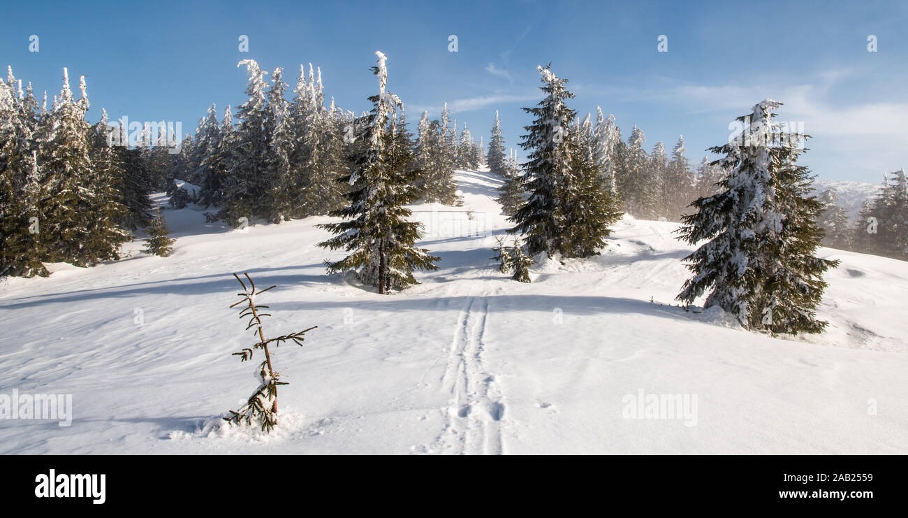 Paesaggio montano invernale con prato, piccoli alberi e cielo blu con nuvole tra Krizava e Skalka hill in Lucanska Mala Fatra mountains nella Repubblica slovacca Foto Stock