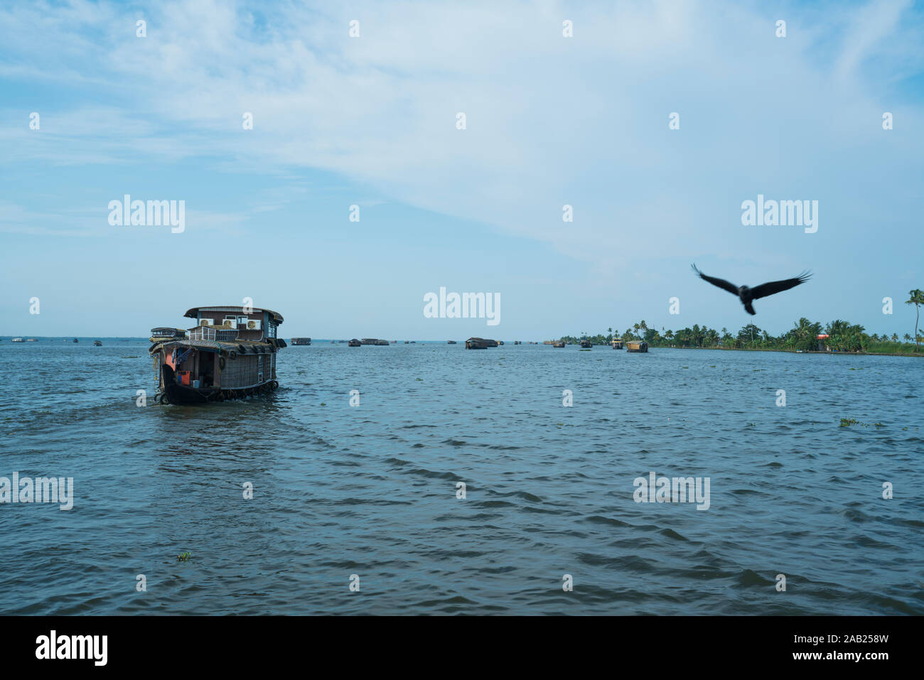 Non finisce mai di lagune ad Alleppey, Kerala Foto Stock