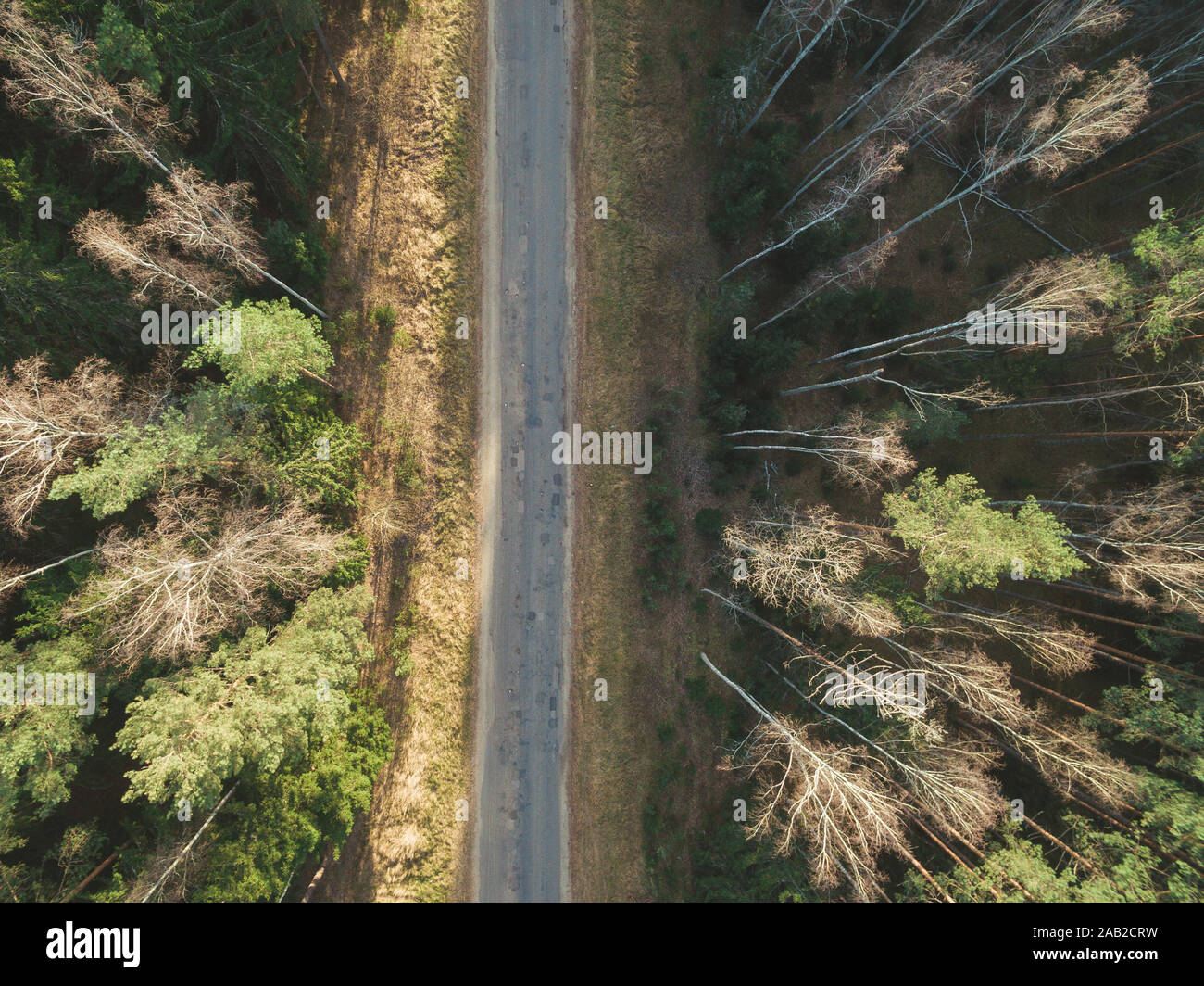 Strada asfaltata passando attraverso una foresta verde in autunno. Paesaggio vista aerea. Vista superiore Foto Stock