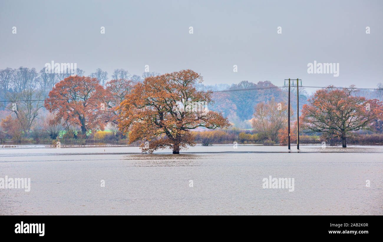 In autunno gli alberi colorati in acqua di inondazione dal fiume Severn, Inghilterra Foto Stock