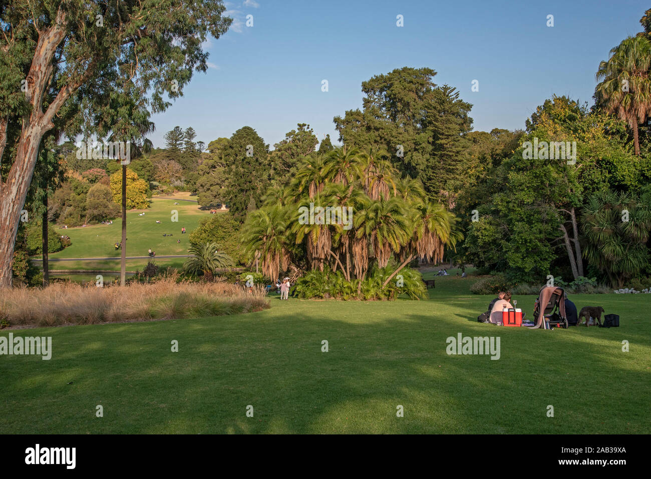 Australia, Victoria, Melbourne, 13 Aprile 2019 - Royal Botanic Gardens Victoria è la casa di stato collezione botanica che è alloggiato nel Foto Stock