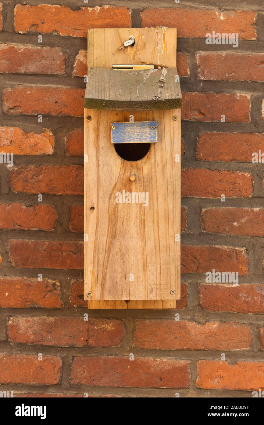 Ein alter Nistkasten un einer Hauswand |Una vecchia scatola di nido su una parete| Foto Stock