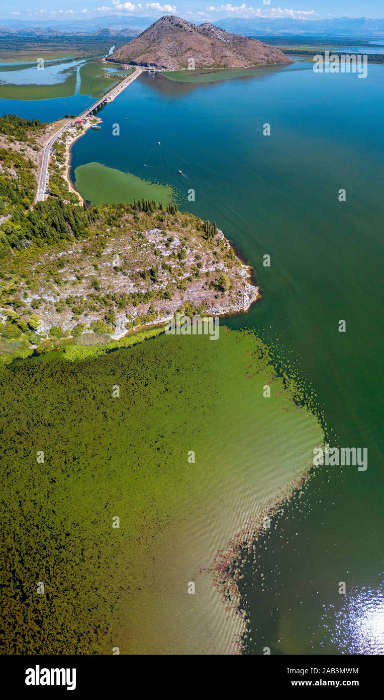 Vista aerea del Lago di Scutari o Lago di Scutari, Montenegro. Circondato dal parco nazionale da una natura incontaminata e la fauna selvatica. Ponte Foto Stock