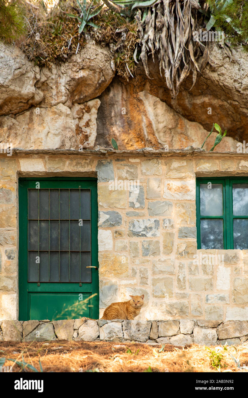 Una casa coperte di verde in una roccia a Makarksa, Dalmazia, Croazia. Il verde porta e finestra e pietre del Mediterraneo. Un arancione hadicapted stray Foto Stock