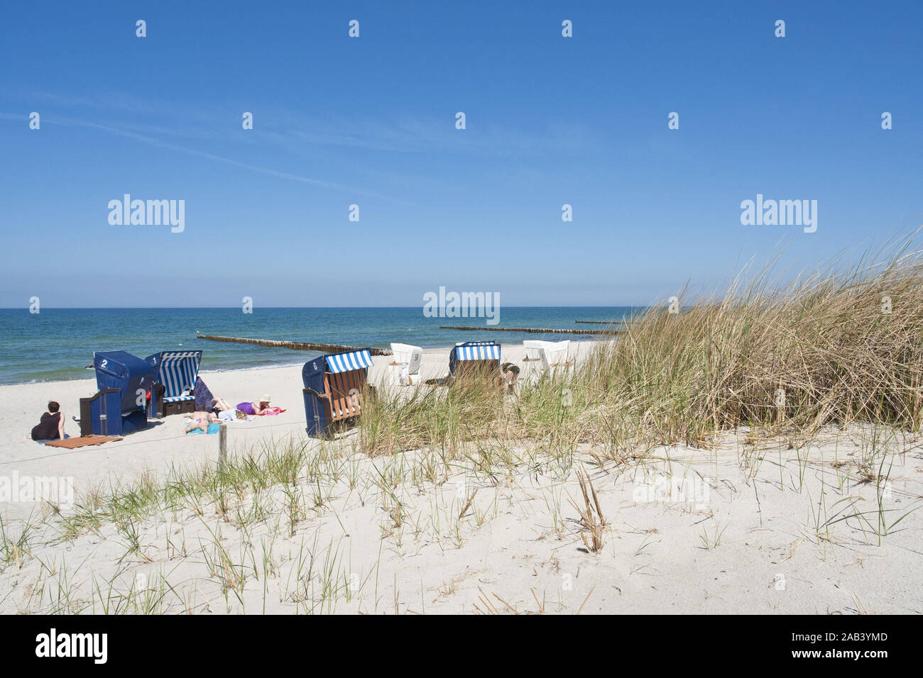 Strandabschnitt bei Ahrenshoop an der Ostsee |area di spiaggia sul Mar Baltico a Ahrenshoop| Foto Stock