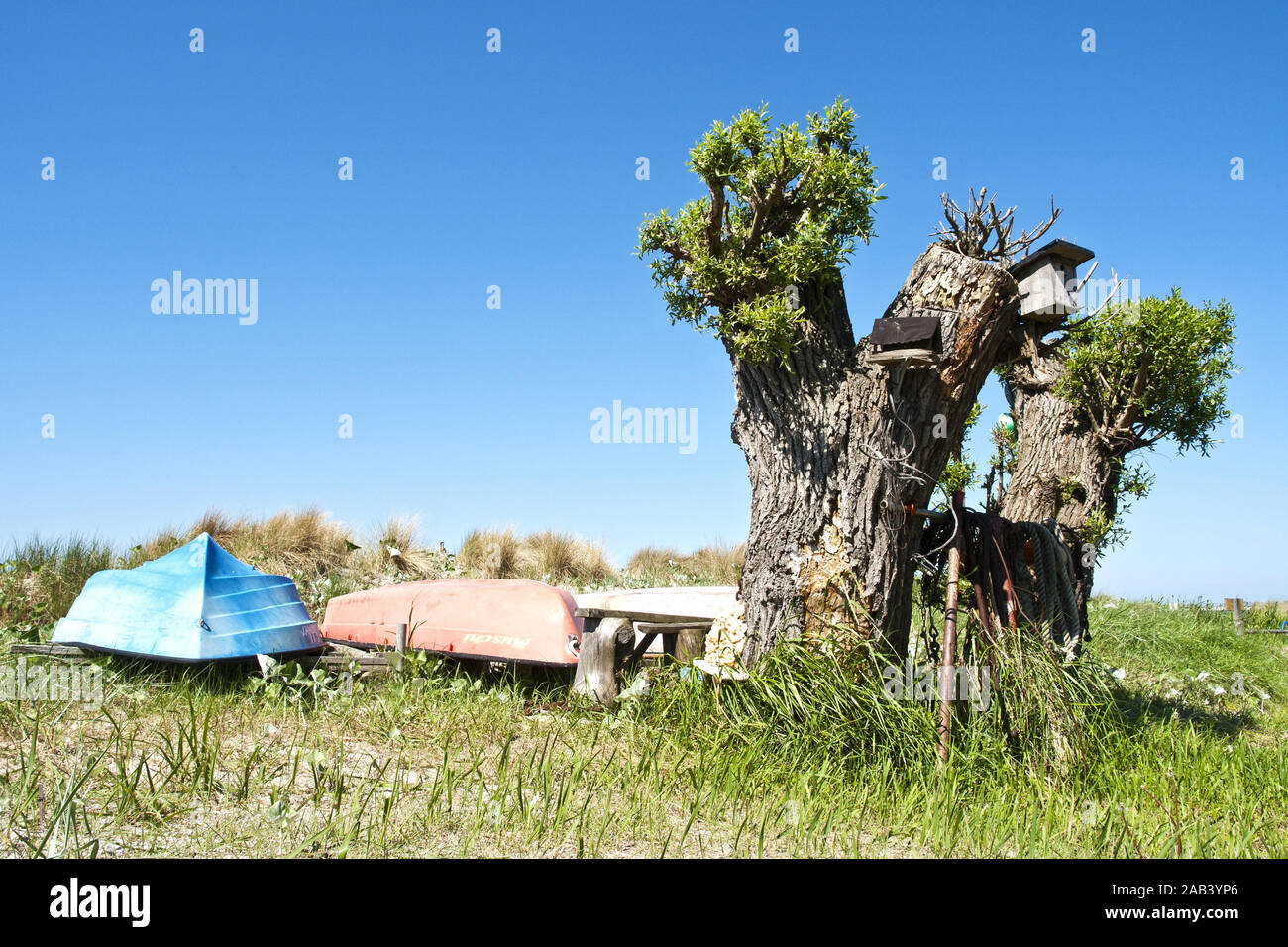 Boote und ein Baum mit Vogelh‰utente |barche e un albero con uccelli case| Foto Stock