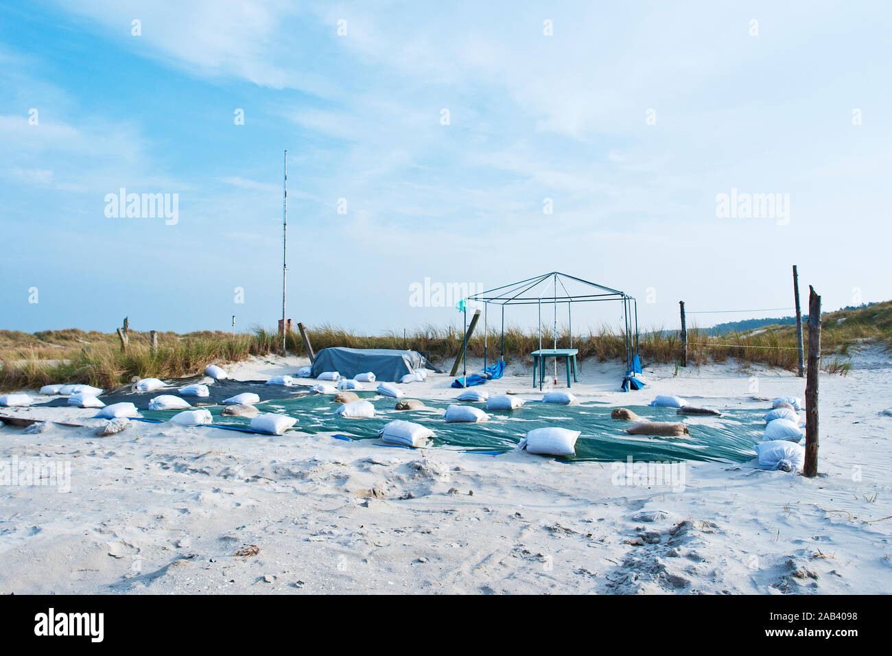 Ein leerer Stellplatz auf einem Campingplatz in Prerow an der Ostsee außerhalb der Saison |uno spazio vuoto parcheggio in un campeggio di Prerow sulla Balti Foto Stock