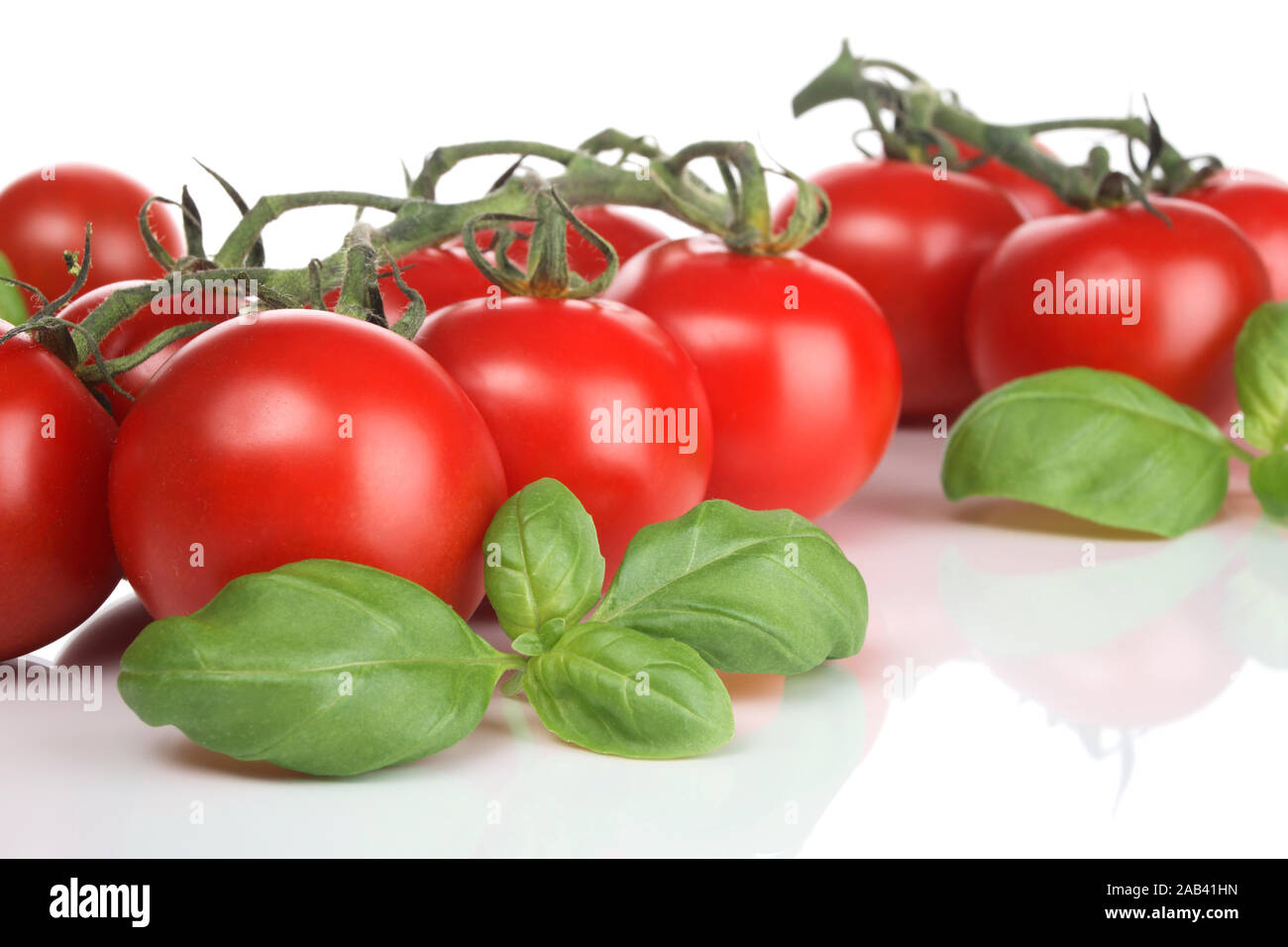 Basilikum und Strauchtomaten Foto Stock