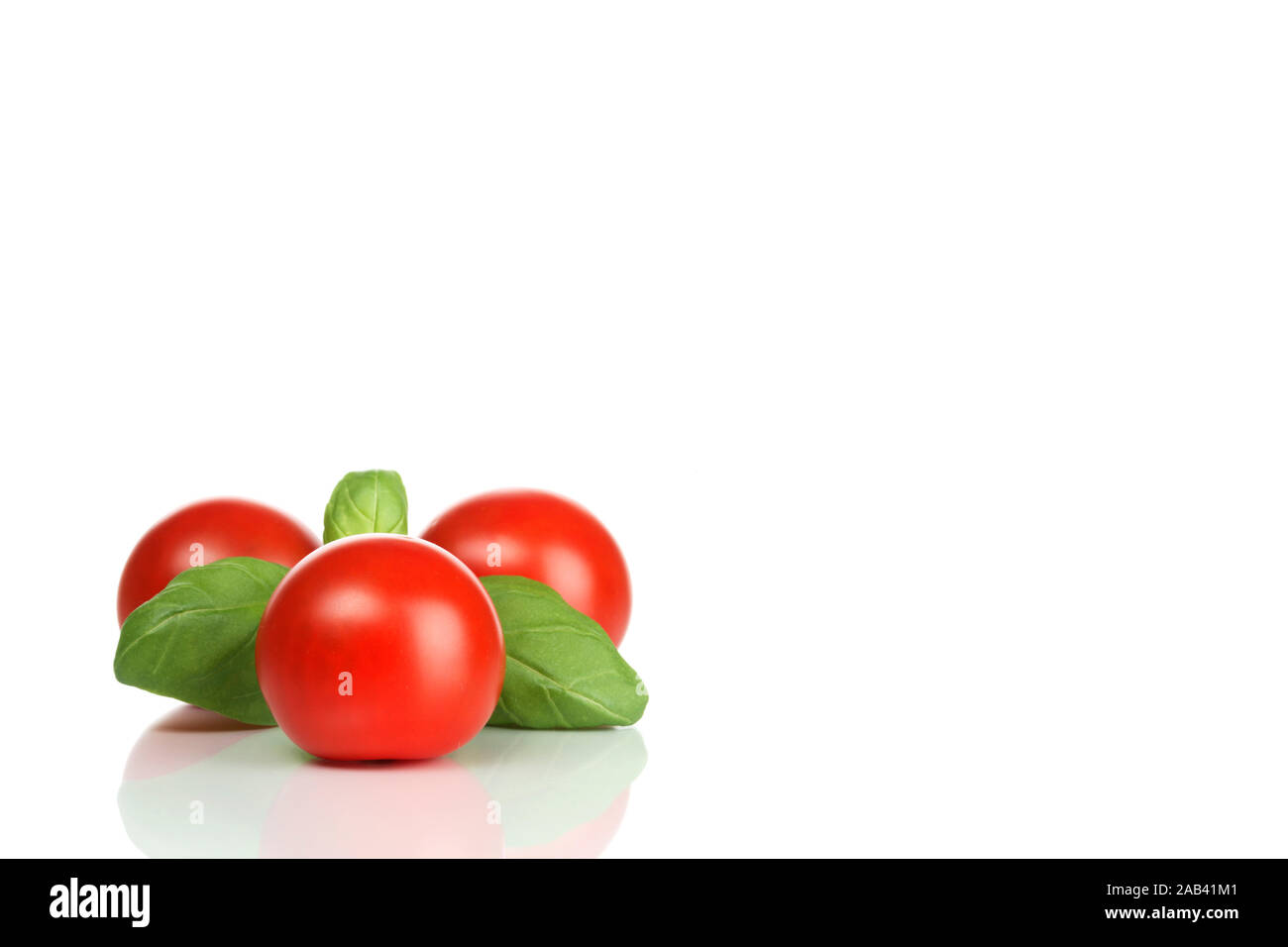 Basilikum und Strauchtomaten Foto Stock