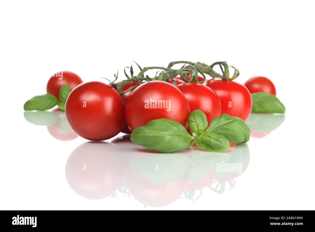 Basilikum und Strauchtomaten Foto Stock