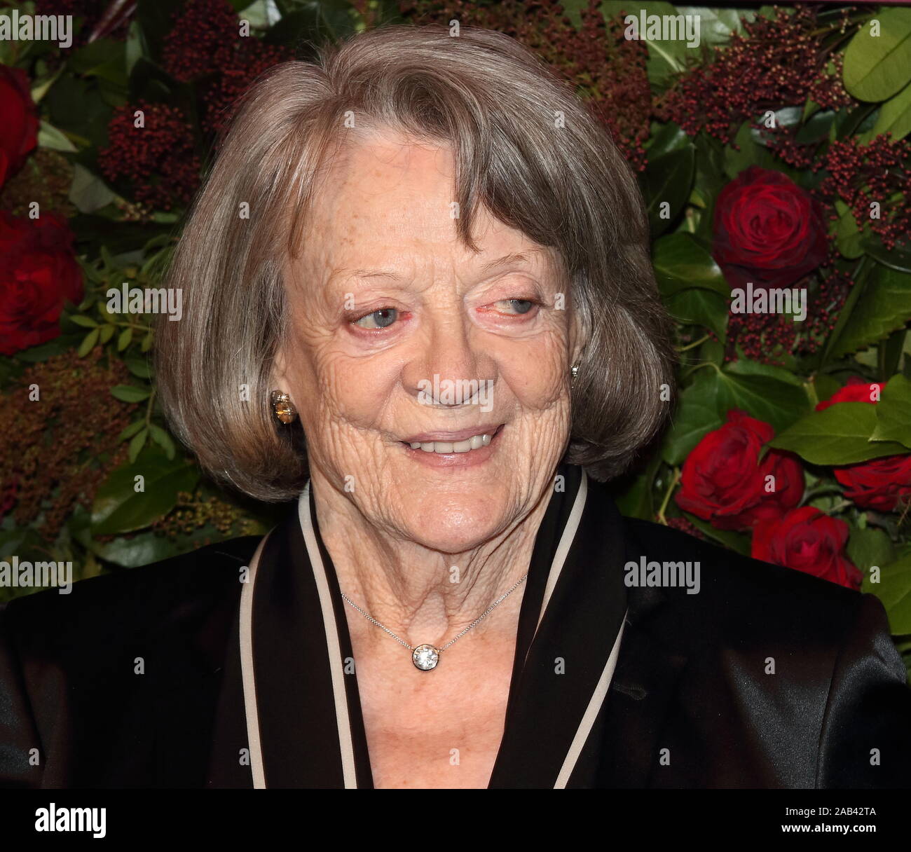 Dame Maggie Smith assiste il sessantacinquesimo Evening Standard Theatre Awards at The London Coliseum di Londra. Foto Stock
