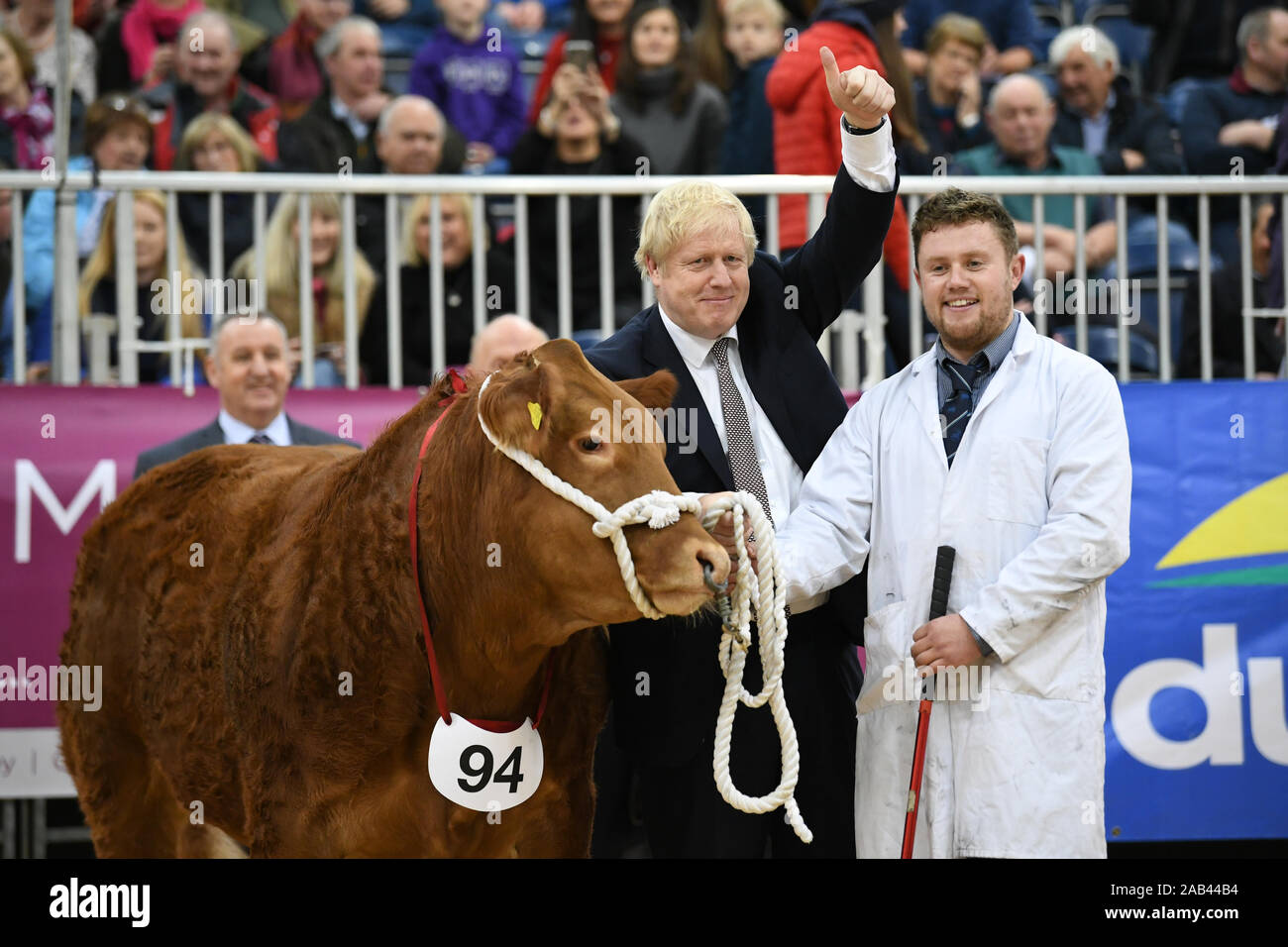 Il primo ministro Boris Johnson visite il Royal Welsh Showground, in Llanelwedd, Builth Wells mentre sulla campagna elettorale trail. Foto Stock