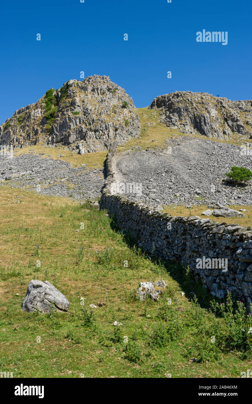 Robin Proctor la ferita nel Yorkshire Dales National Park vicino Austwick, North Yorkshire, Inghilterra. Foto Stock