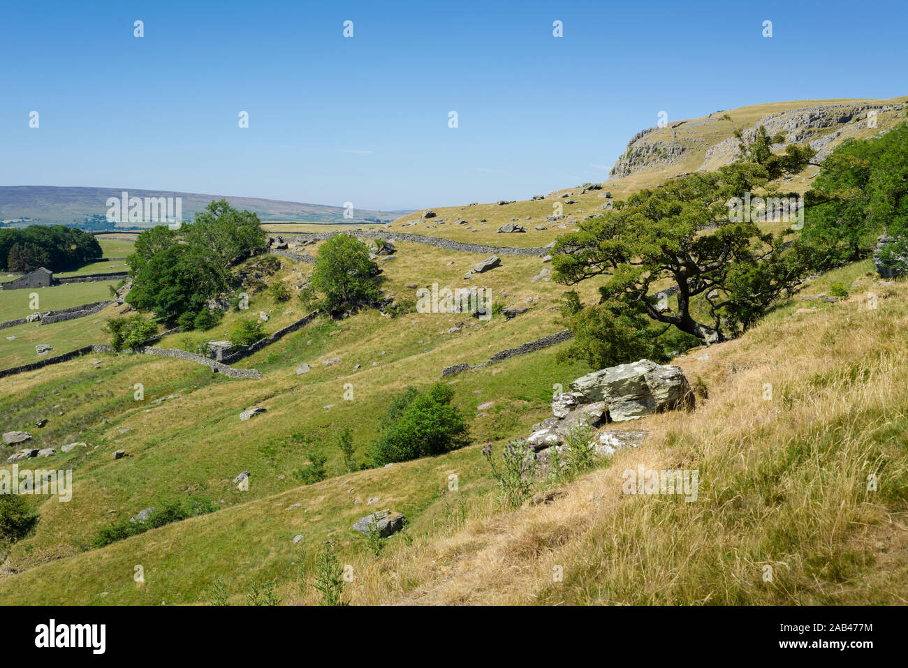 Il paesaggio al di sotto di Robin Proctor la ferita nel Yorkshire Dales National Park vicino Austwick, North Yorkshire, Inghilterra. Foto Stock Il paesaggio al di sotto di Robin Proctor la ferita nel Yorkshire Dales National Park vicino Austwick, North Yorkshire, Inghilterra. Foto Stock
