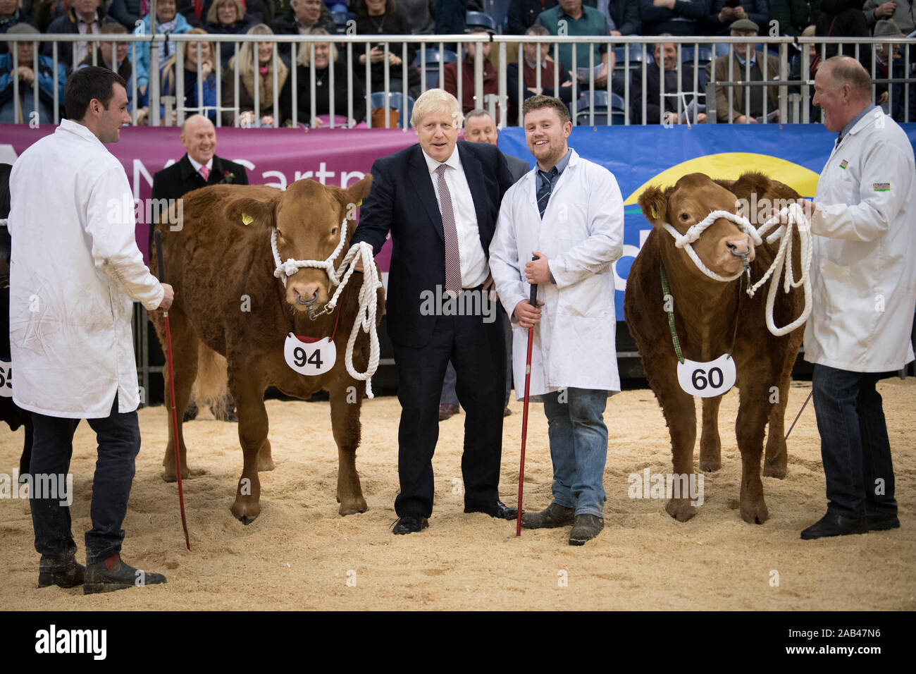 Il primo ministro Boris Johnson, visita al Royal Welsh Showground, in Llanelwedd, Builth Wellswhilst sulla campagna elettorale trail. Foto di PA. Picture Data: lunedì 25 novembre, 2019. Vedere PA storia politica elezione. Foto di credito dovrebbe leggere: Stefan Rousseau/PA FILO Foto Stock