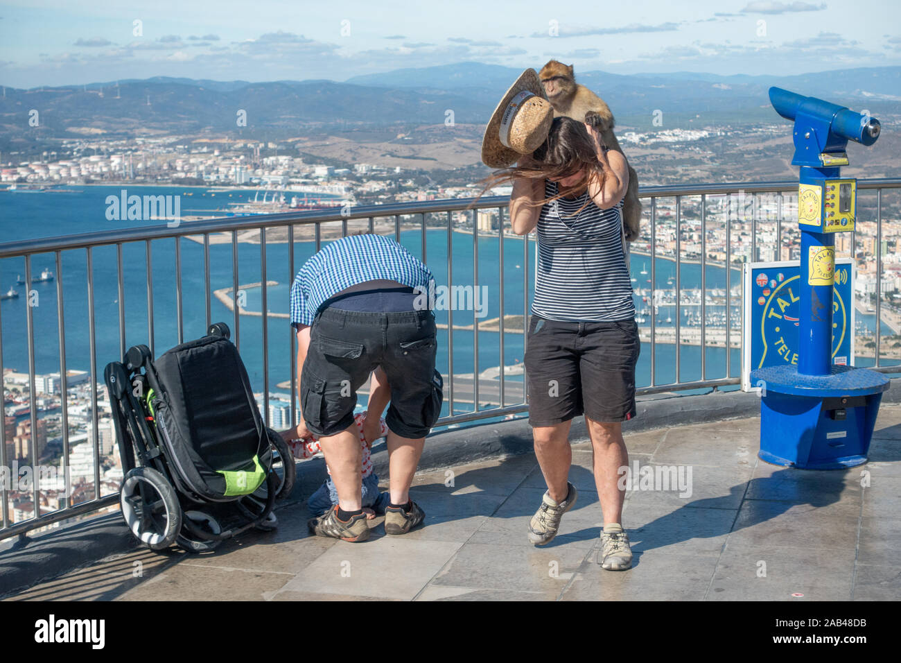 APE attacca un turista su una delle piattaforme di osservazione raggiunte tramite la funivia a Gibilterra, Spagna Foto Stock