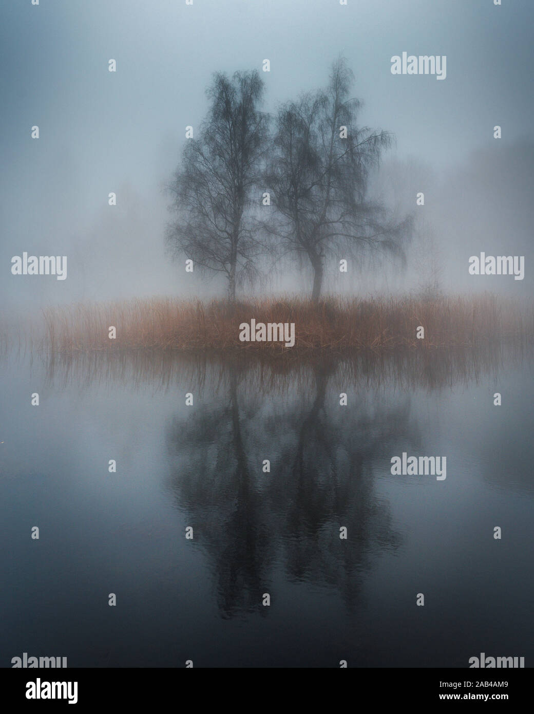 Bella mattinata nebbiosa. Misty lago con piccola isola e albero con acqua di riflessione. Nebbiose giornate d'autunno. Foto Stock