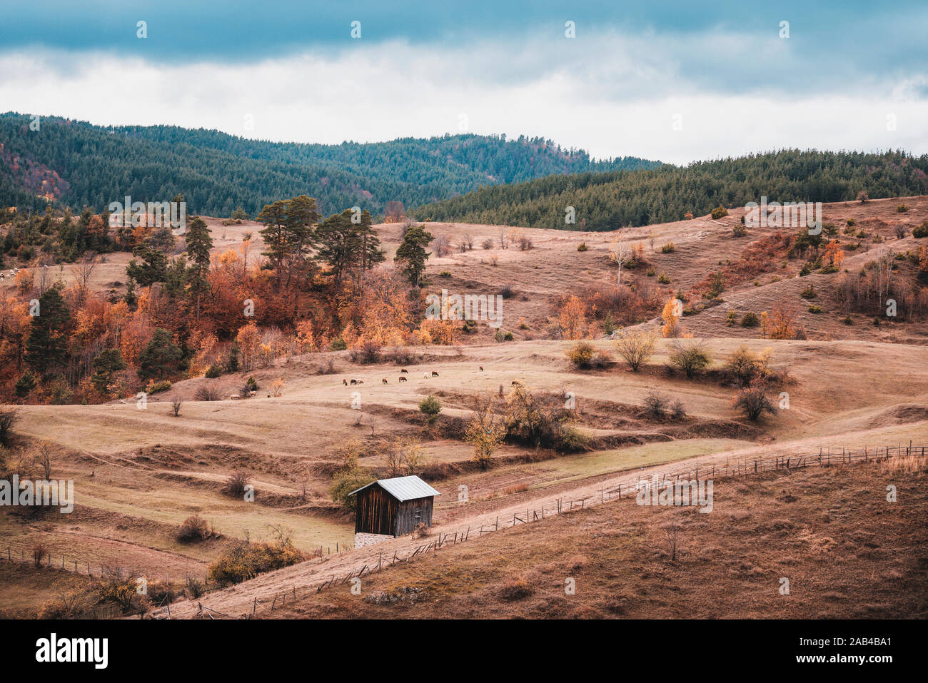 Il vecchio fienile in legno in campo, Autunno paesaggio di montagna Foto Stock