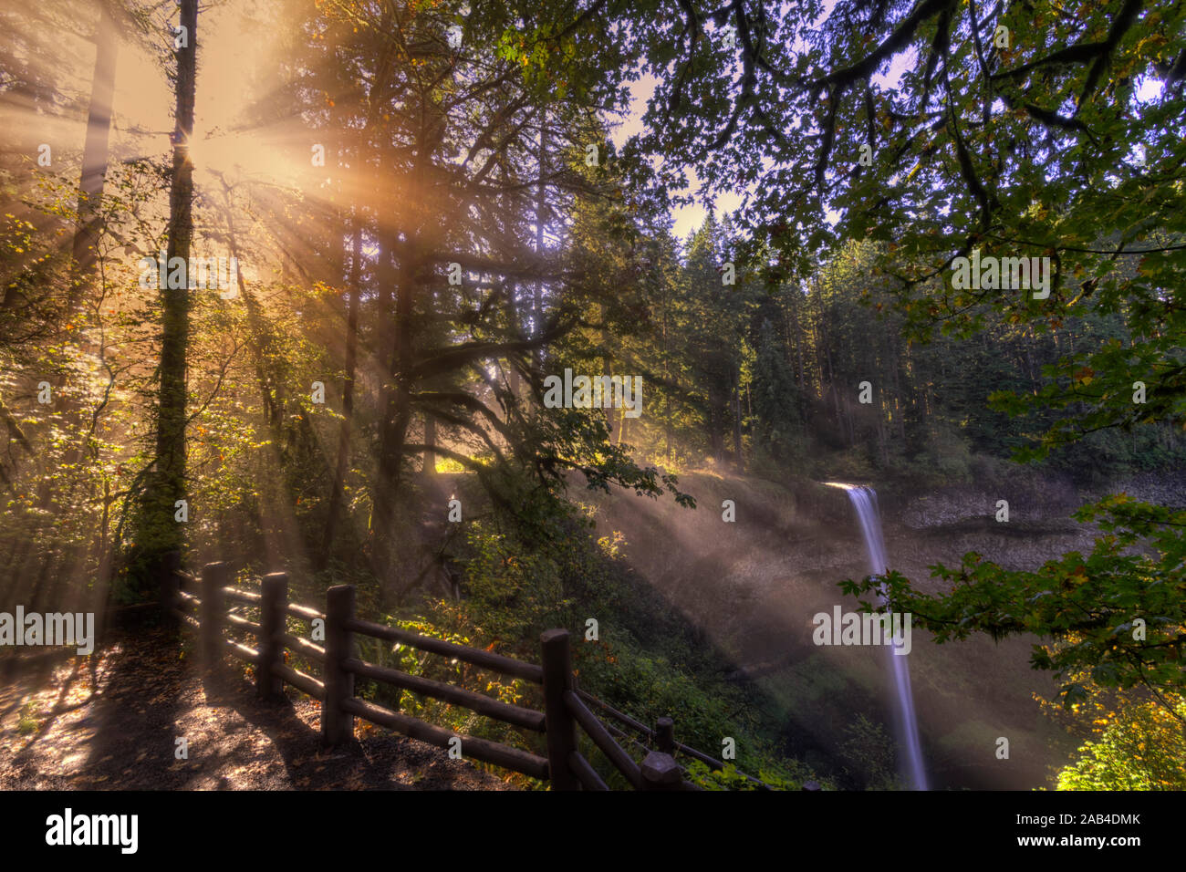 Le cascate sono senza dubbio la principale attrazione Silverfalls parco dello stato in Oregon, ma a volte può essere solo a fare da sfondo alle altre bellezze che c Foto Stock