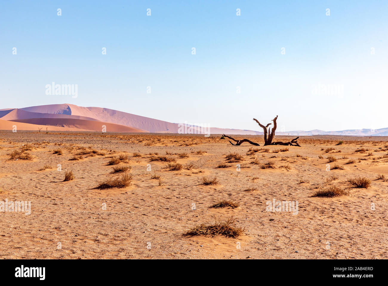 Sossusvlei e dune di sabbia rossa nel deserto del Namib in Namibia, Africa Foto Stock