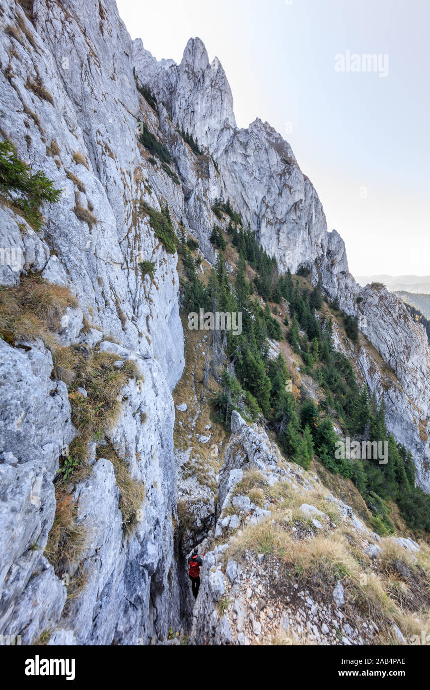 Scalatore sulla montagna in Piatra Craiului Mountains, Romania Foto Stock
