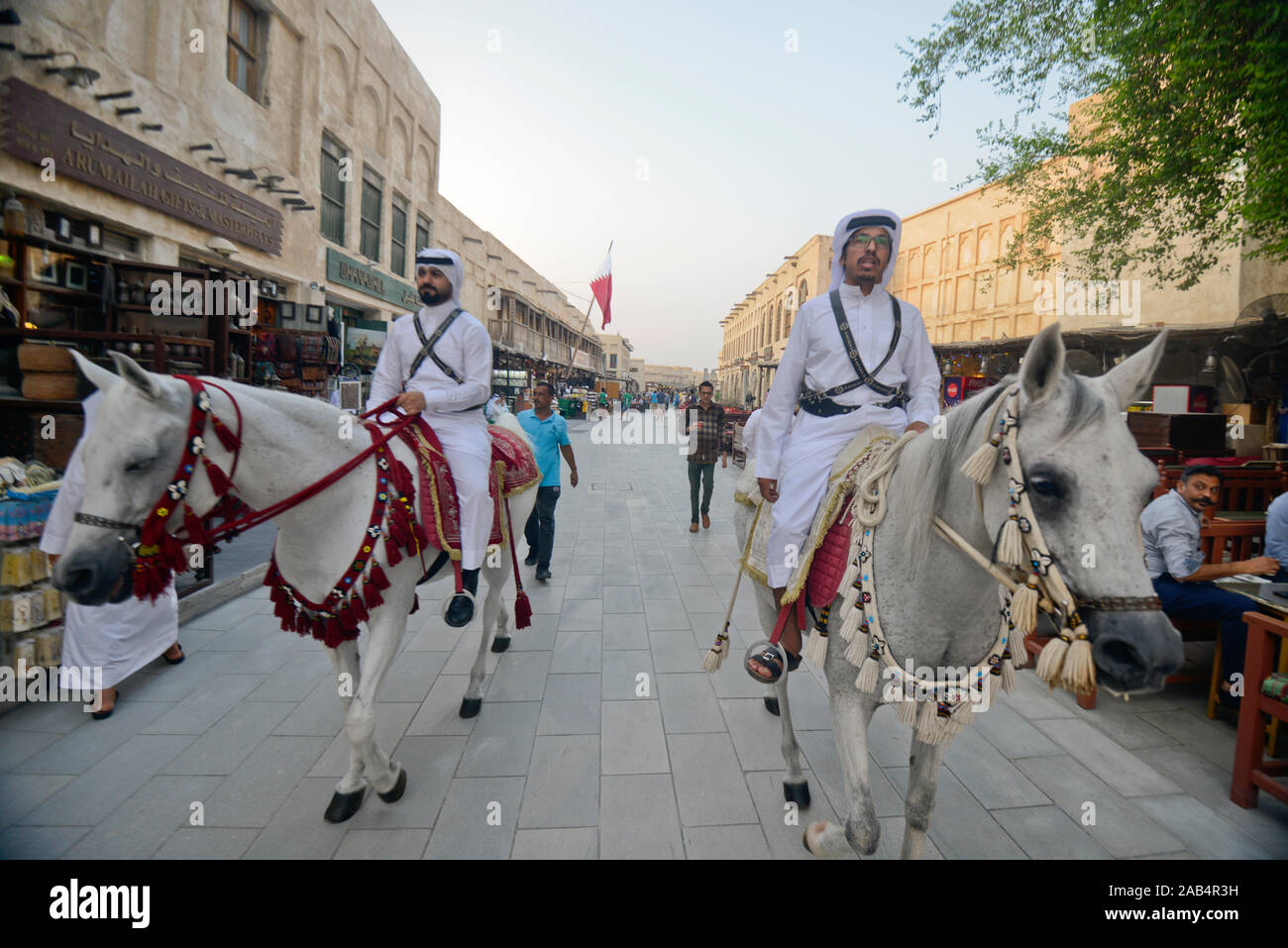 Cavalli arabi nel Souq Waqif, Doha, Qatar Foto Stock
