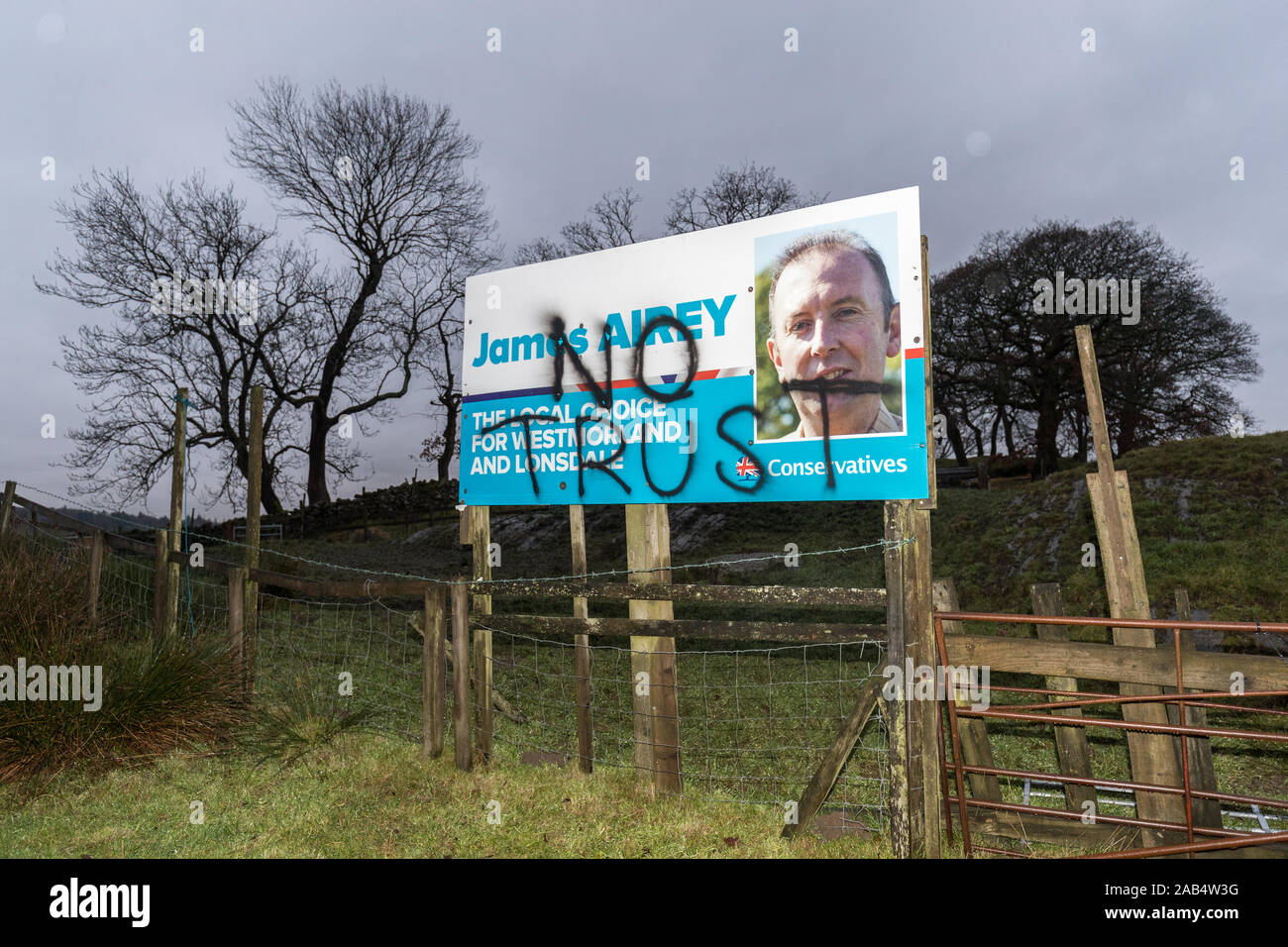 Cumbria, Regno Unito. 25 Nov, 2019. Regno Unito Westmorland & Lonsdale . Conservatore manifesti elettorali nei campi & fells sfigurata con 'nessuna fiducia' .MP corrente è Tim Farron (ex leader liberale) la sua maggioranza è stata 777 all'ultima elezione .credito Shoosmith Gordon/Alamy News live Credito: Gordon Shoosmith/Alamy Live News Foto Stock