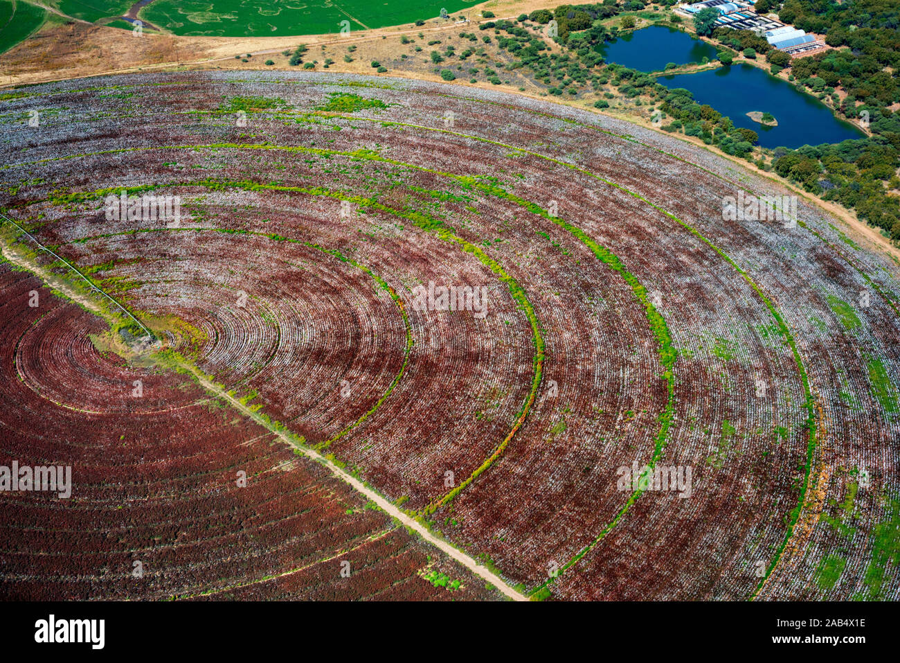 Vista aerea di circolare nelle vicinanze dei campi a nord-ovest di Johannesburg, Sud Africa. Foto Stock