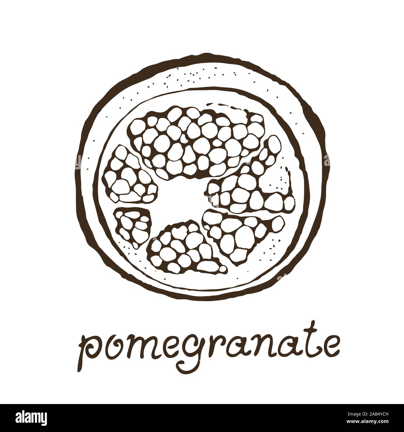 Melograno illustrazione vettoriale isolati su sfondo bianco Illustrazione Vettoriale