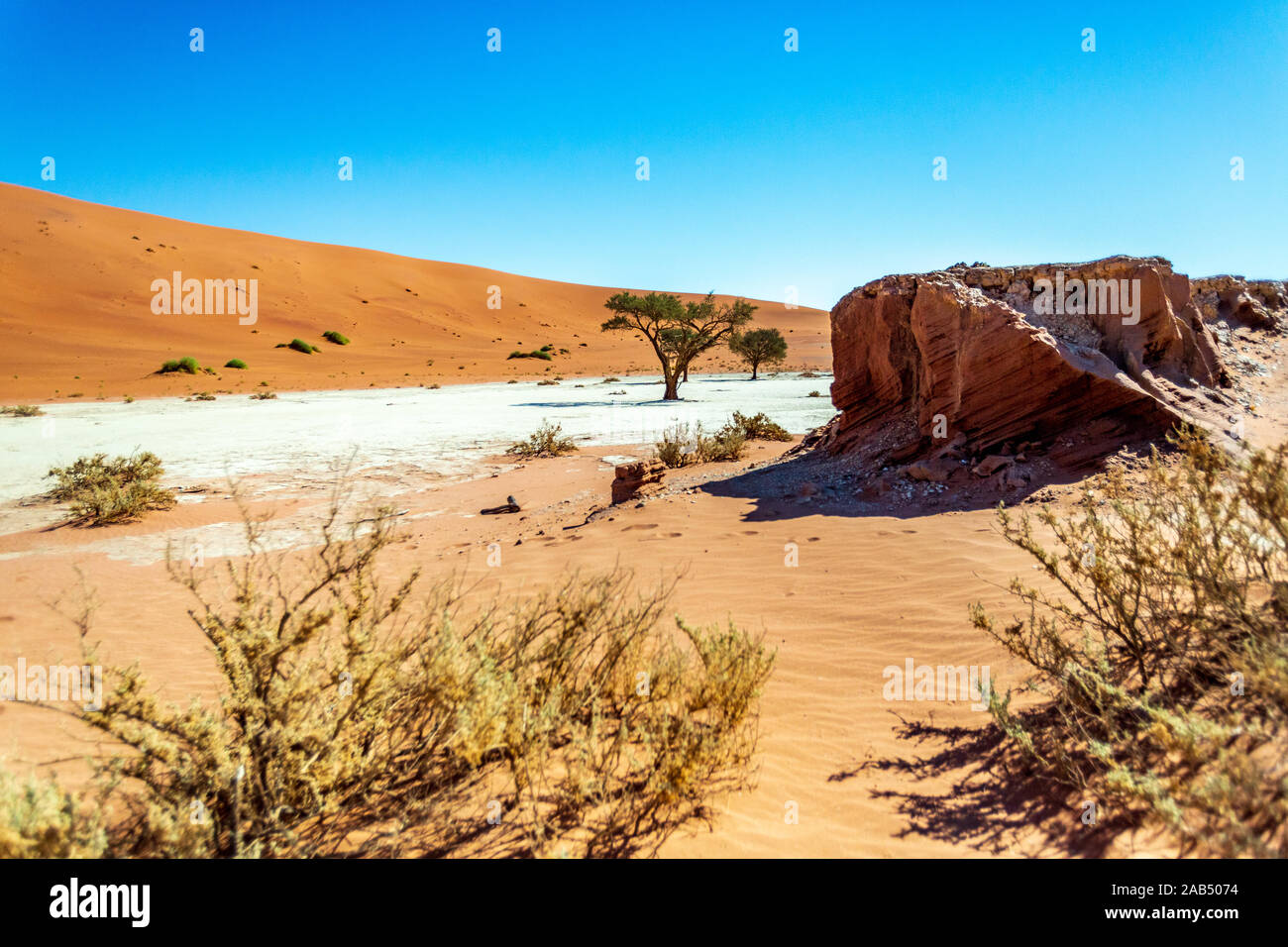 La fauna selvatica e paesaggio di Sossusvlei, Namibia, Africa Foto Stock