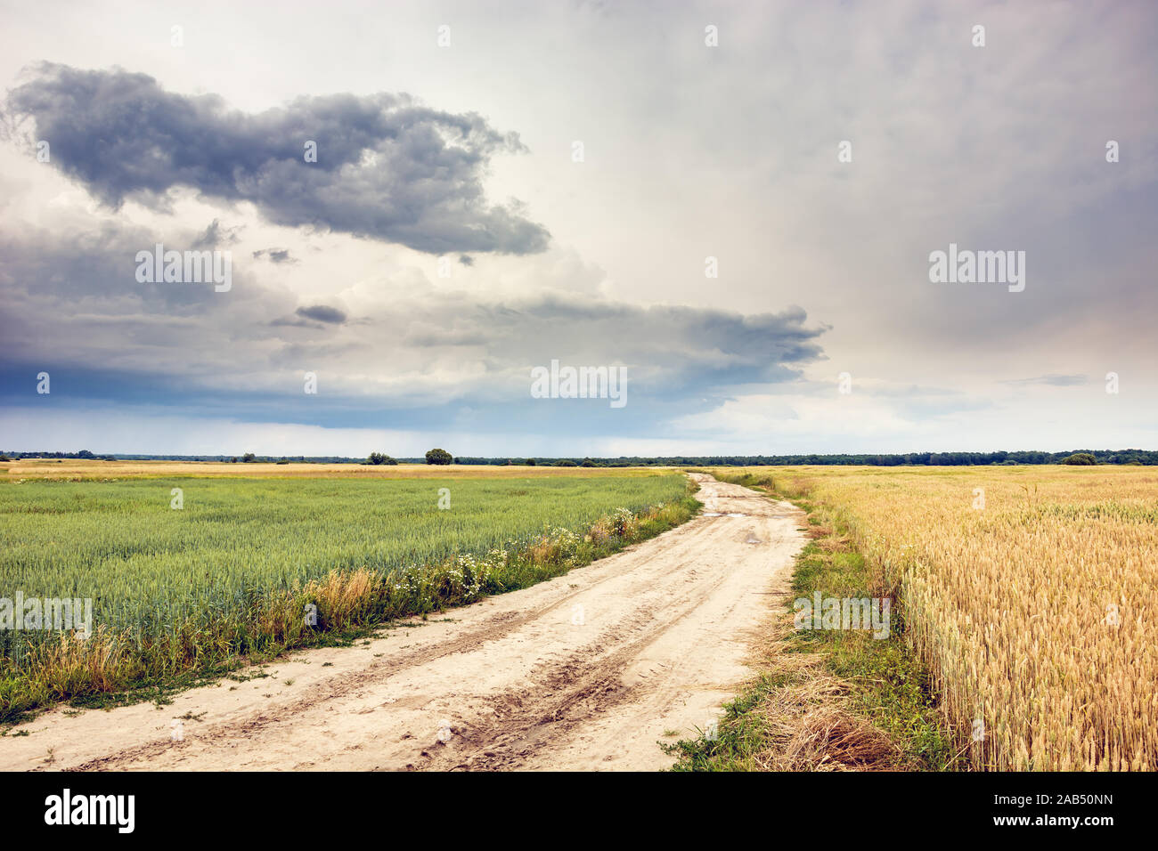 Strada di sabbia attraverso i campi e la nuvola di pioggia nel cielo. Sajczyce, Polonia Foto Stock