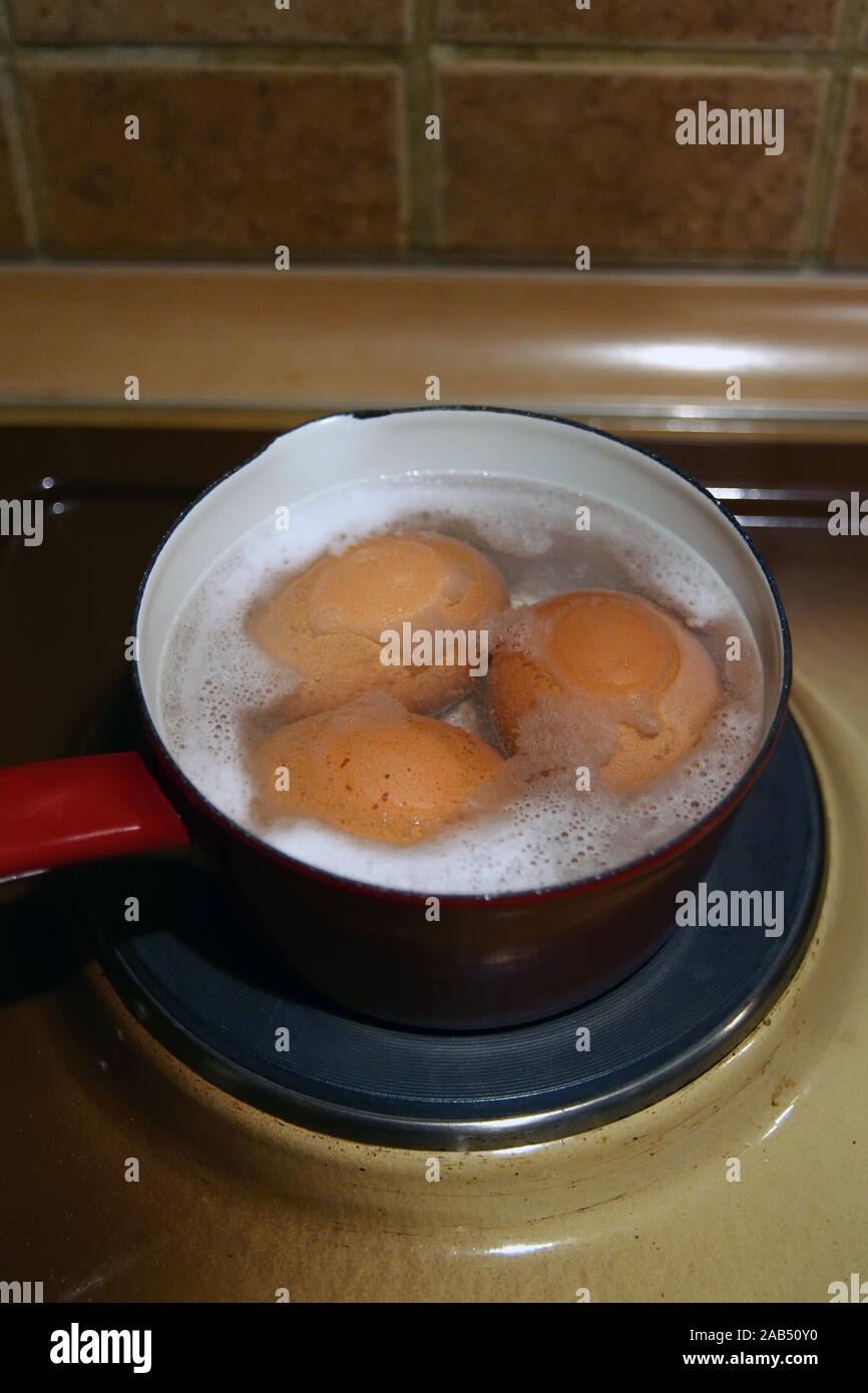 Bollire le uova. Per la cottura di uova. Facendo colazione. Bollire le uova in una pentola. Foto Stock