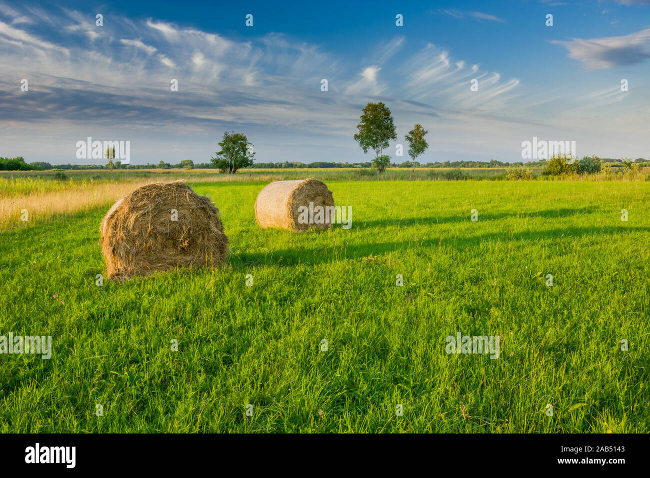 Balle di fieno disteso su un prato verde e fantastiche nuvole nel cielo. Nowiny, Polonia Foto Stock