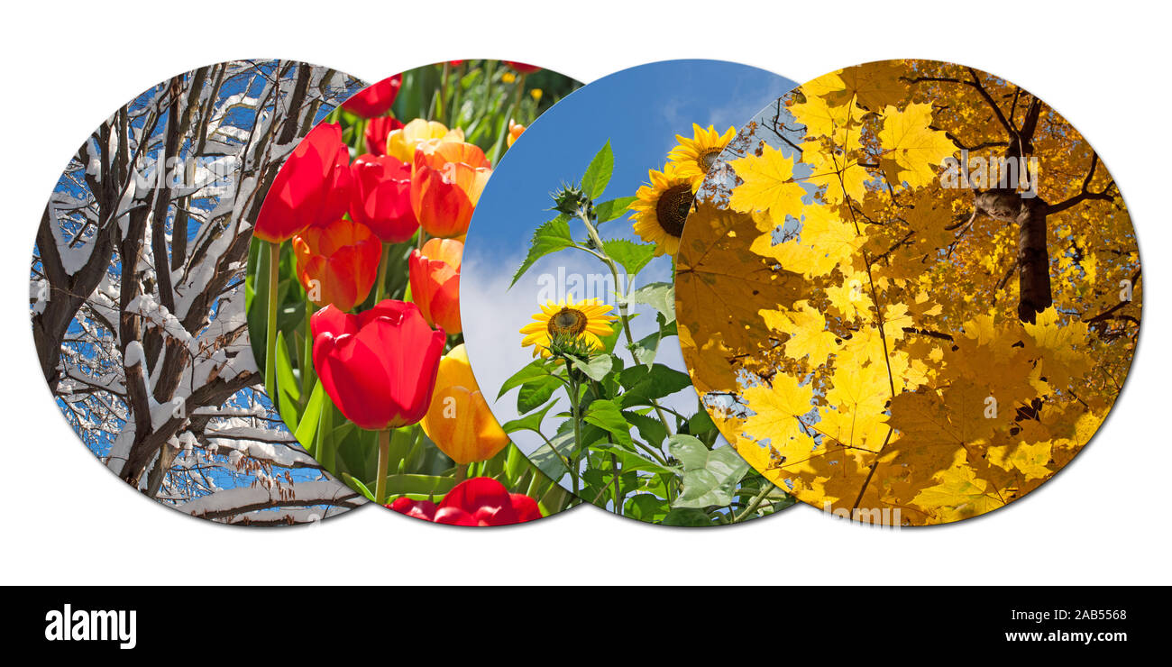 Quattro stagioni in un collage Foto Stock