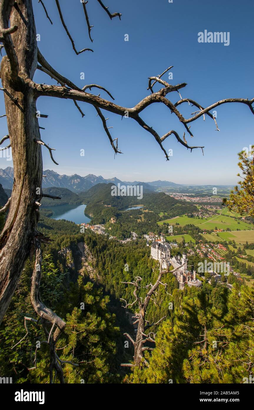 Vista dall'ascendere al Tegelberg al Castello di Neuschwanstein, sullo sfondo a sinistra la Alpsee, Schwangau vicino a Füssen, Svevia, Baviera, Germania, Europa Foto Stock