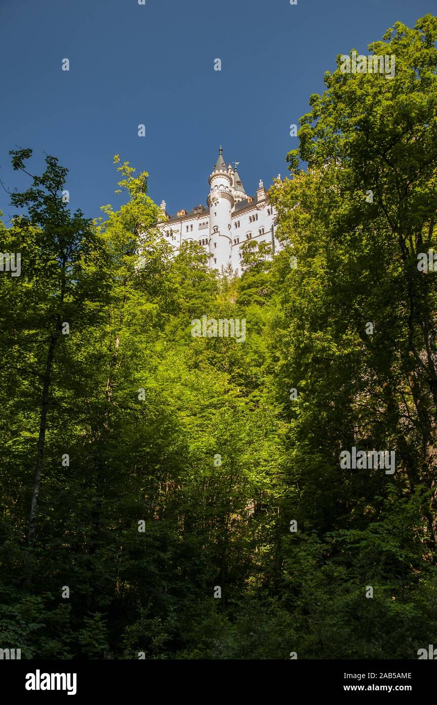 Il Castello di Neuschwanstein, Schwangau bei Füssen, Svevia, Baviera, Germania, Europa Foto Stock