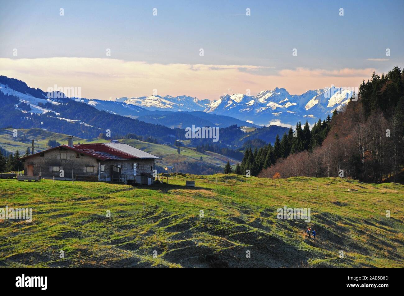 Alpe Neuschwand tra Immenstadt e Oberstaufen, sullo sfondo il Säntis (2501 m), Algovia, Svevia, Baviera, Germania, Europa Foto Stock