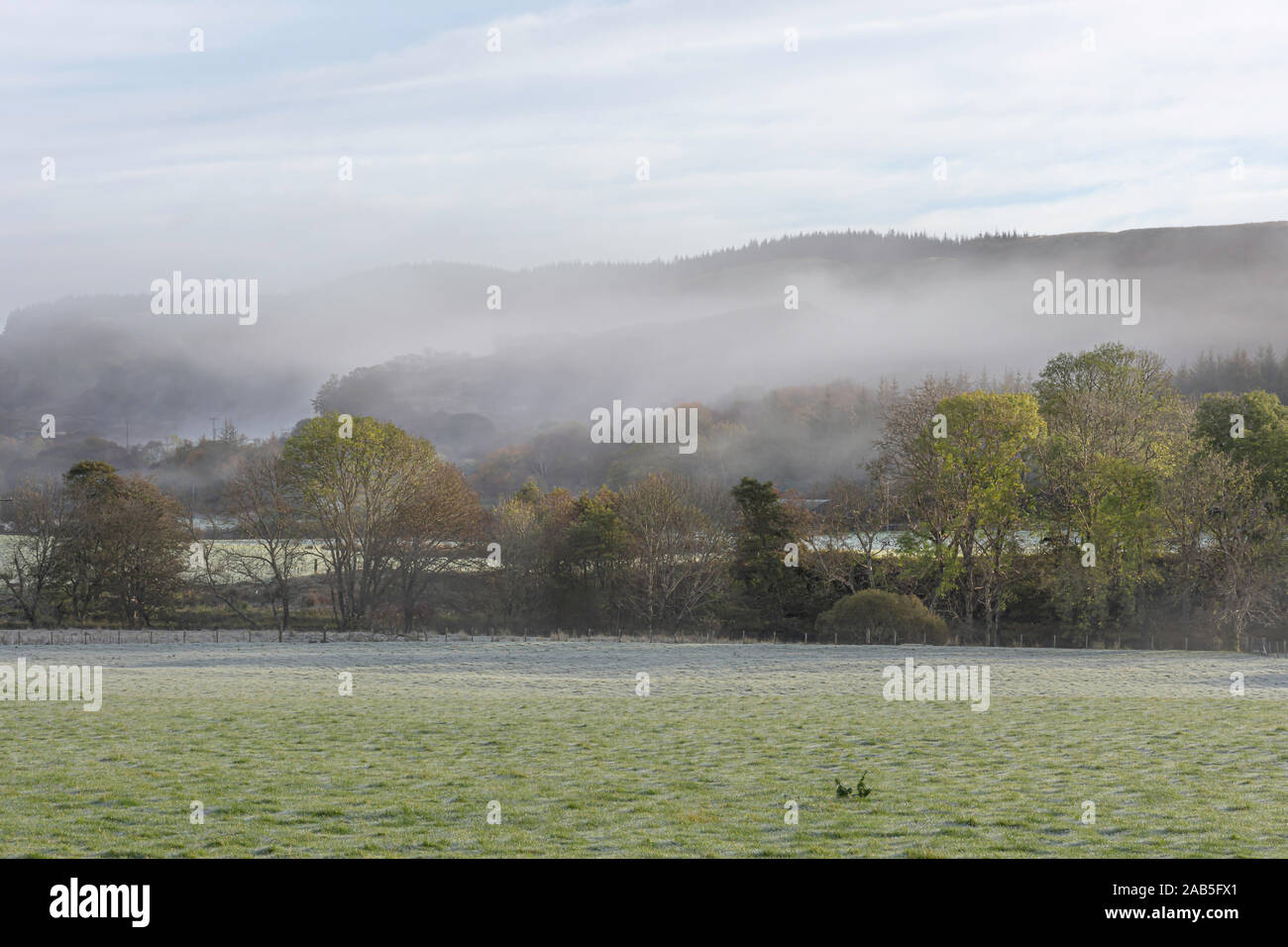 Tranquilla mattina autunnale scena di paesaggio sulla campagna scozzese.nebbia salendo sulle colline con alberi e gelido campo in primo piano.luminoso e di alta immagine chiave. Foto Stock