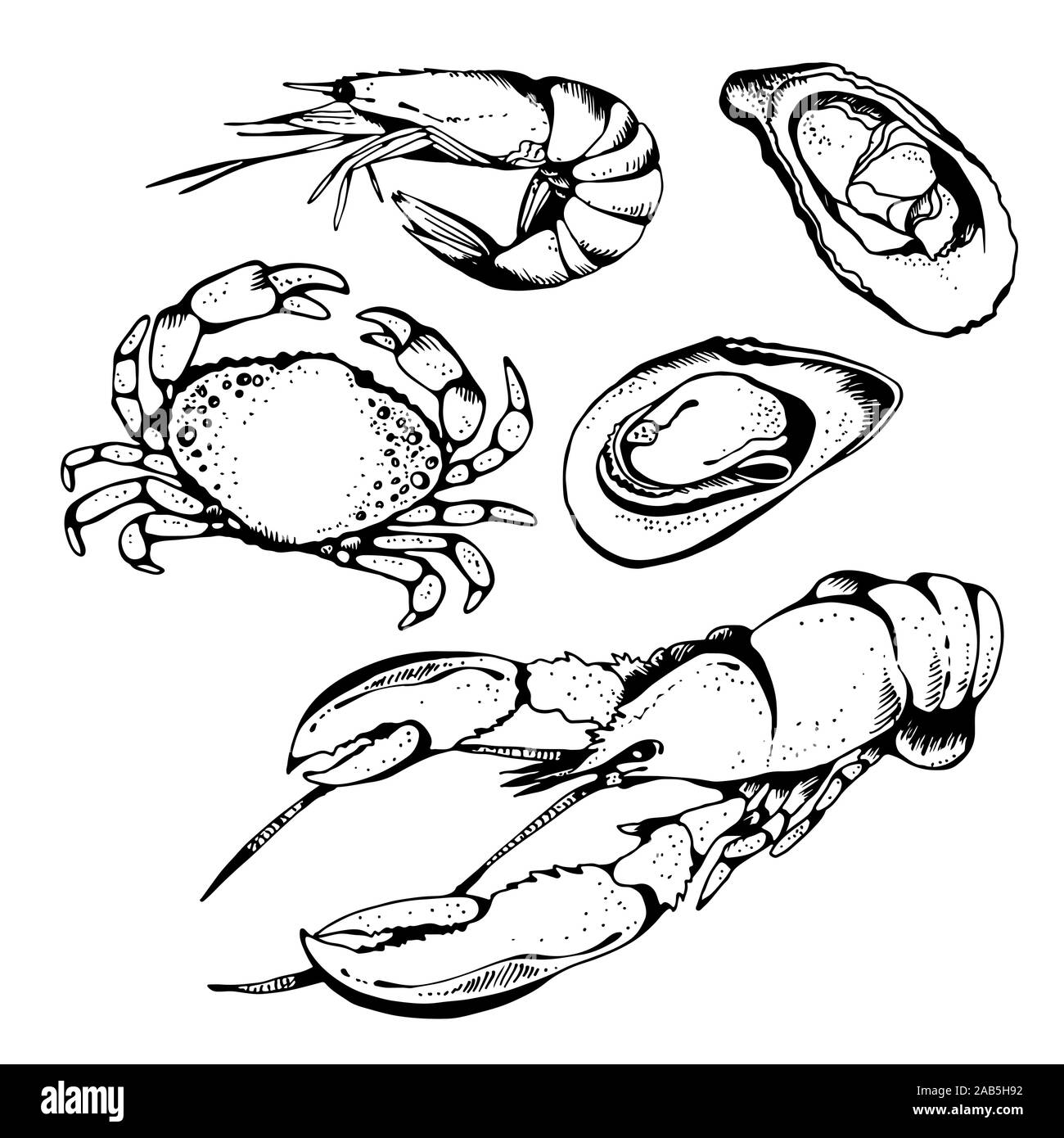 Frutti di mare set di vettore, cibo vettore collezione in stile sketch isolati su sfondo bianco: aragosta, granchi, gamberi, ostriche, cozze Illustrazione Vettoriale