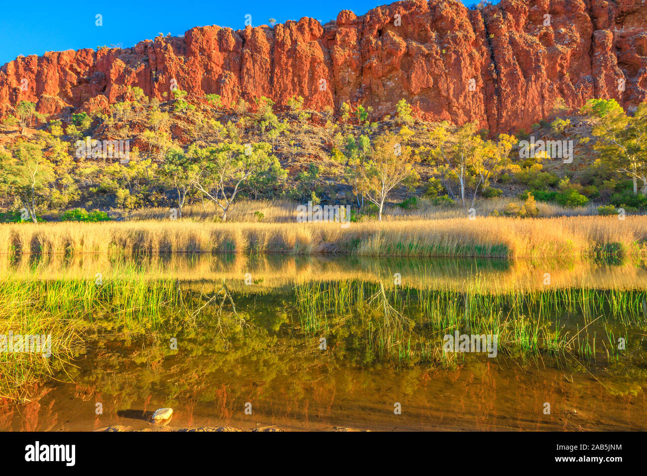 Glen Helen Gorge riflettendo sul waterhole sul fiume Finke. Tjoritja - West MacDonnell Ranges nel Territorio del Nord, l'Australia Centrale. Australian Foto Stock