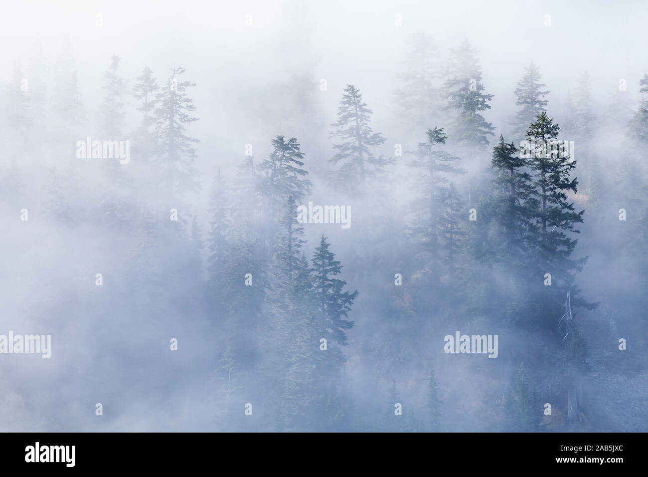 Nuvole basse drift attraverso la foresta vicino al lago di neve a Snoqualmie pass nel centro di Cascades dello stato di Washington, USA. L'autunno. Foto Stock