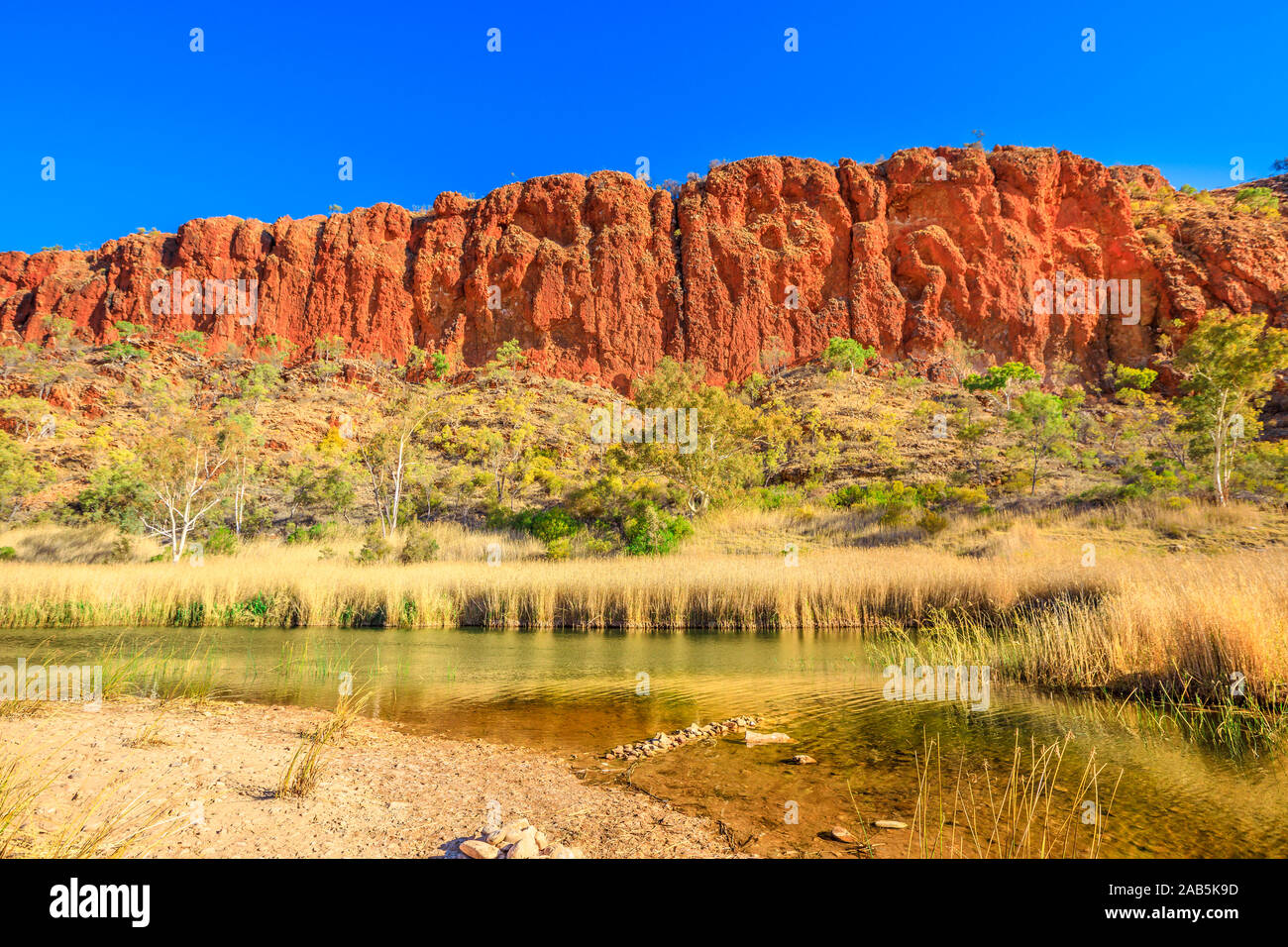 Waterhole permanente di Glen Helen Gorge nel West MacDonnell Ranges, Territorio Settentrionale in Australian Outback lungo rosso centro modo. Foto Stock