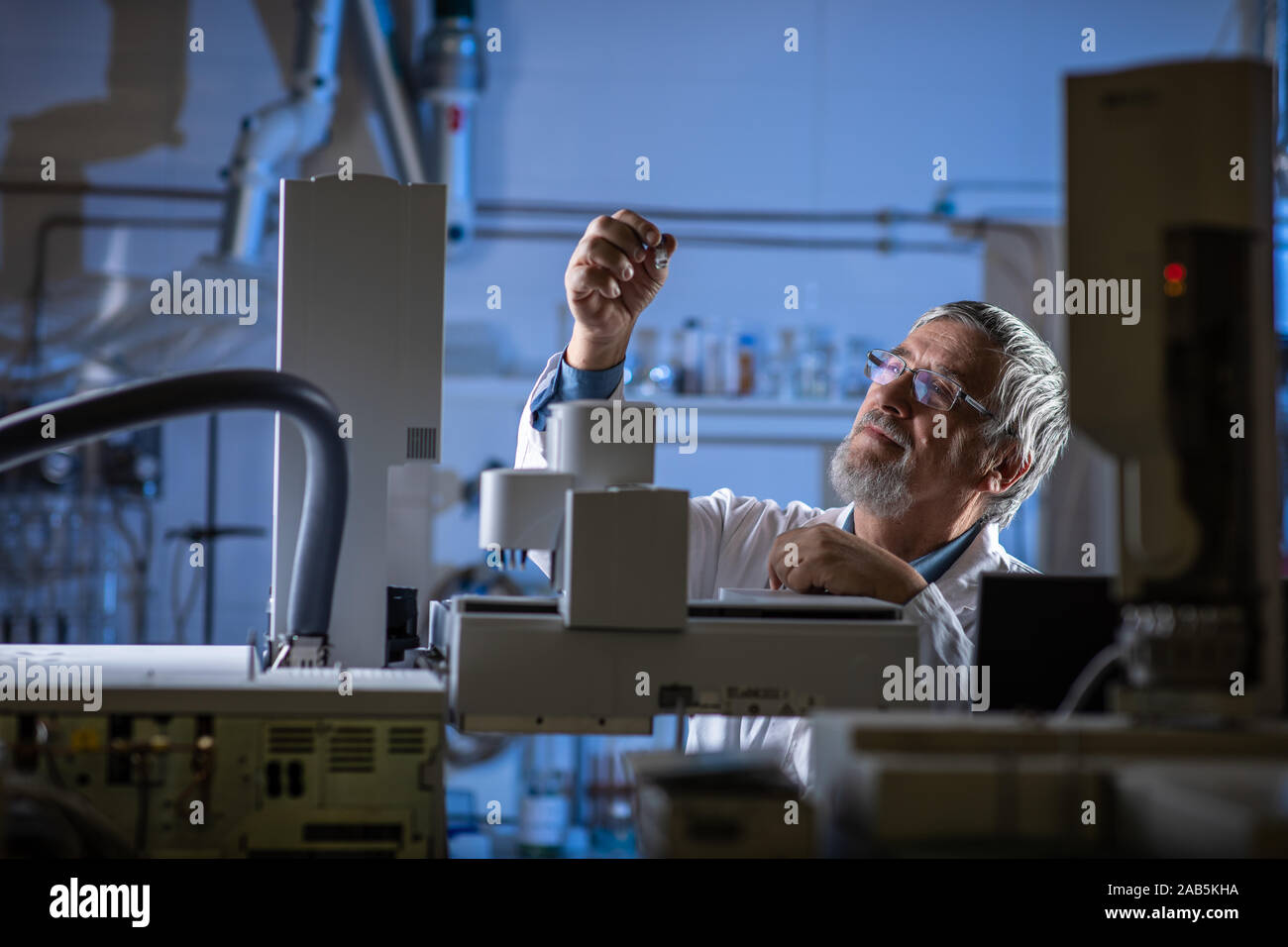 Senior Scientist in un laboratorio di chimica effettuando ricerche - guardando la gas cromatografia campioni, preparare l'analisi su un moderno chromatograp gas Foto Stock