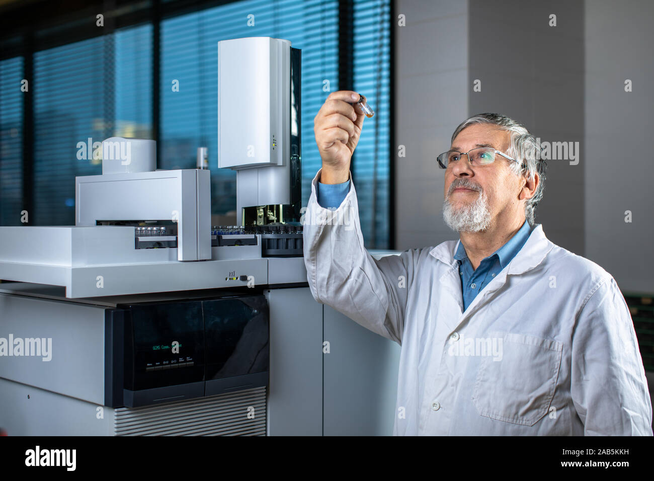 Senior Scientist in un laboratorio di chimica effettuando ricerche - guardando la gas cromatografia campioni, preparare l'analisi su un moderno chromatograp gas Foto Stock