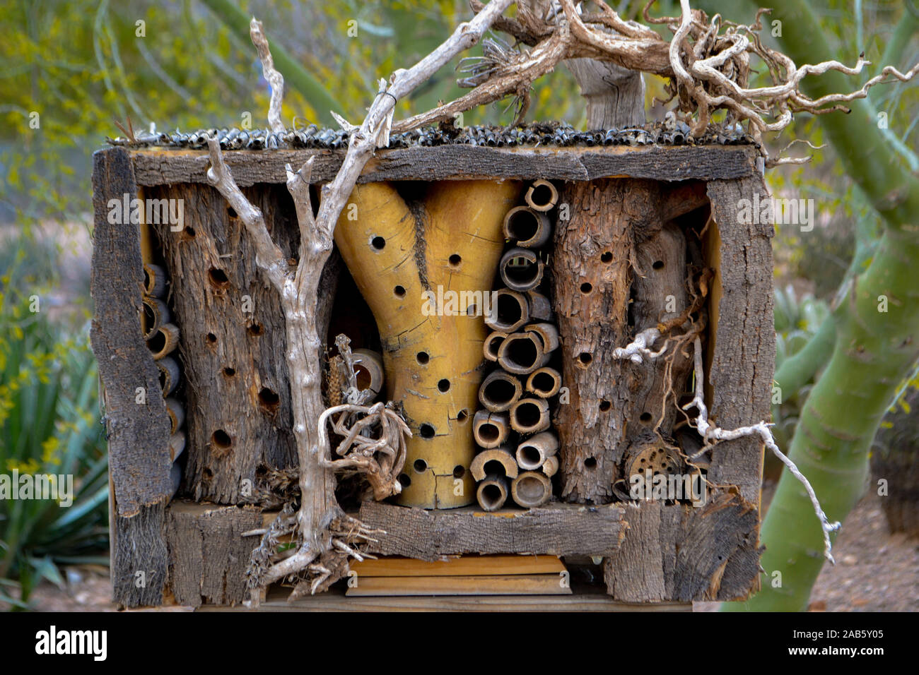 Affascinante hotel di ape nel giardino del deserto, dettagli in legno e spazi per gli impollinatori e insetti Foto Stock