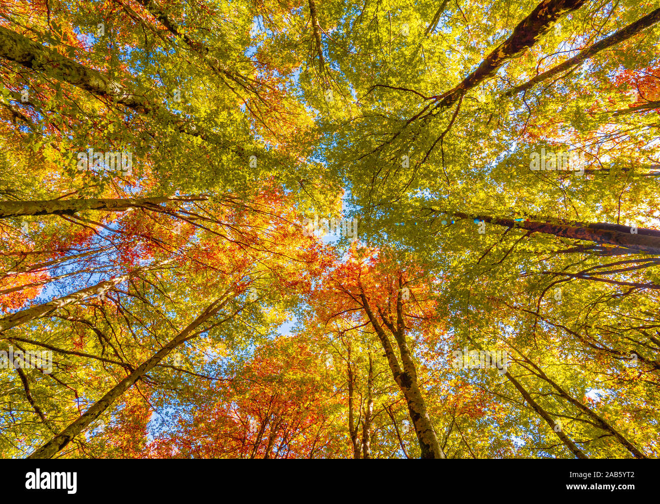 Parco nazionale d'Abruzzo, Lazio e Molise (Italia) - L'autunno con fogliame in italiano montagna riserva naturale, con piccole cittadine, animali selvatici Foto Stock